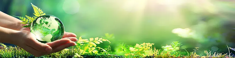 Reduce your environmental impact