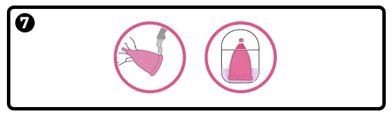 Step 7 Wash and sanitize